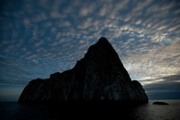 20100425_GalapD5_022