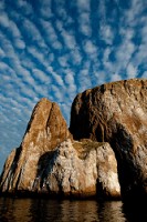 20100425_GalapD5_099