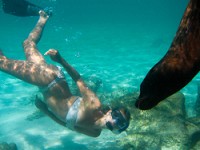 20100425_GalapD5_664