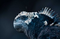 20100426_GalapD6_452