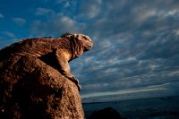 20100426_GalapD6_518