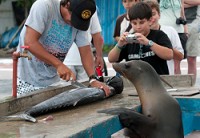 20100428_GalapD8_208
