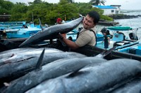 20100428_GalapD8_487