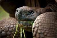 20100429_GalapD9_303