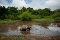 20100429_GalapD9_401
