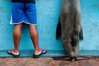 20100430_GalapD10_020