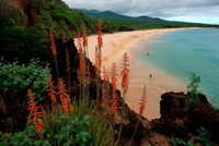 20061206_HawaiiD2_129