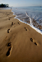 20061210_HawaiiD6_003