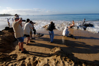 20061210_HawaiiD6_038