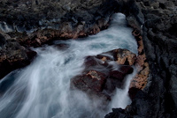 20061210_HawaiiD6_484