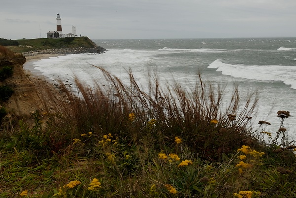 20090910_LId1_015.JPG