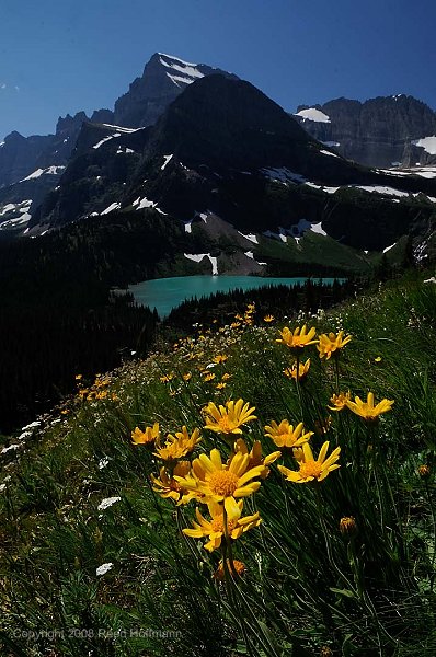 20080713_GlacierD4_639.jpg