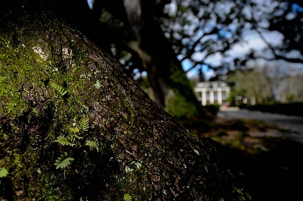 NewOrleans016.jpg