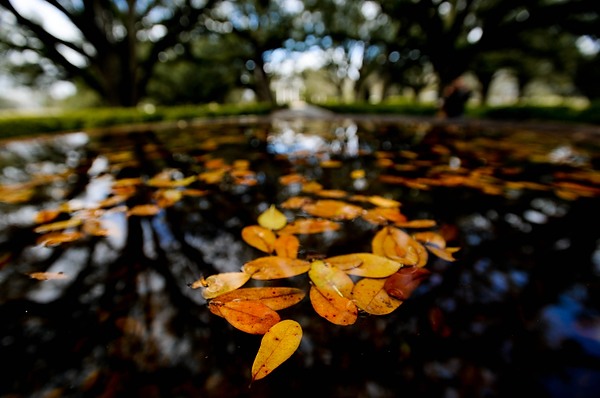 NewOrleans019.jpg