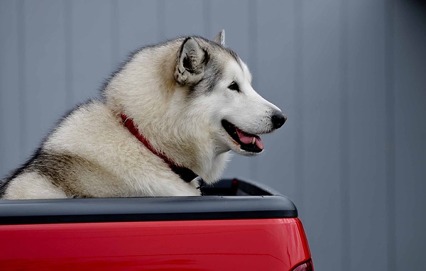 20090603_OregonD1_101.jpg
