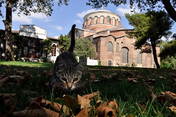 20080906_TurkeyD2_401.JPG