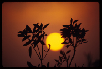SunriseWVa